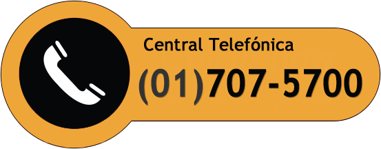 Central telefónica WEB PERU eirl