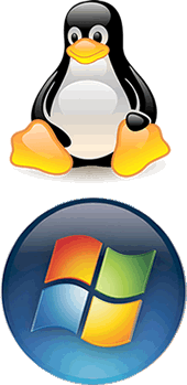Hosting Linux o Microsoft Windows Server